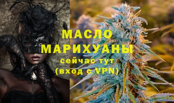 МДПВ Протвино