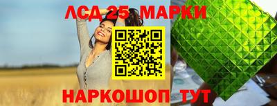 шишки Заволжье