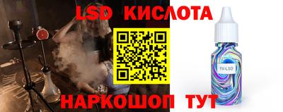 шишки Заволжье