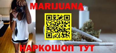 шишки Заволжье