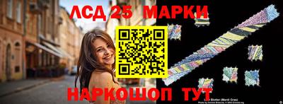 шишки Заволжье